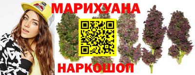 сатива Обнинск