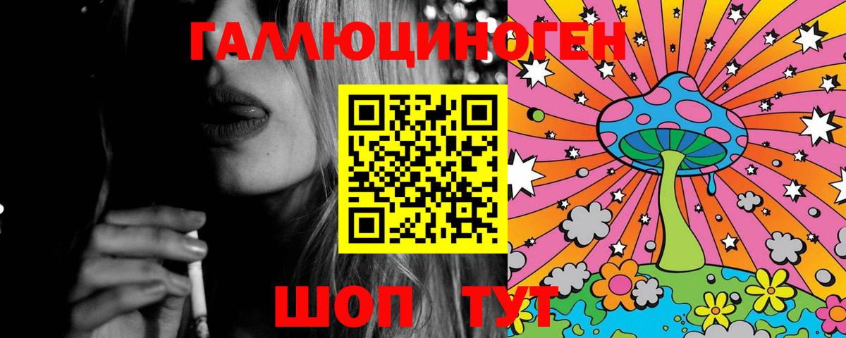 Псилоцибиновые грибы GOLDEN TEACHER  Вход с VPN  Георгиевск  Галлюциногенные грибы мухоморы 